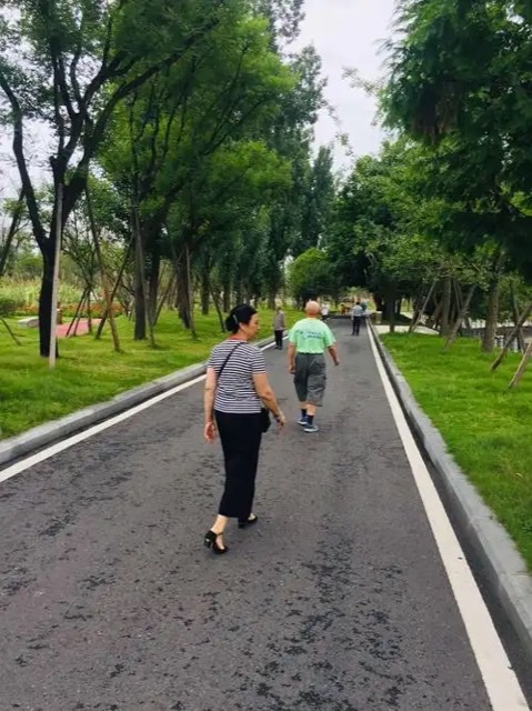 每天散步半小时,降低心脏病风险的奥秘 每天散步半小时,降低心脏病风险的奥秘