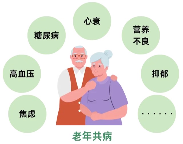 探索最新健康老年人标准:拥抱活力与品质的晚年生活 探索最新健康老年人标准:拥抱活力与品质的晚年生活