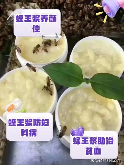 蜂王浆的青春密码:科学揭秘女性抗衰老的天然力量 蜂王浆的青春密码:科学揭秘女性抗衰老的天然力量