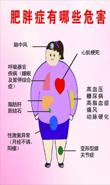 长寿之道:60 岁之后,体重与长寿的关系 长寿之道:60 岁之后,体重与长寿的关系
