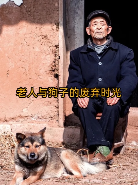 老人与狗:相伴一生的忠诚 老人与狗:相伴一生的忠诚