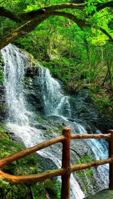 仙寓山康养记:栖居王村,品味自然滋养 仙寓山康养记:栖居王村,品味自然滋养
