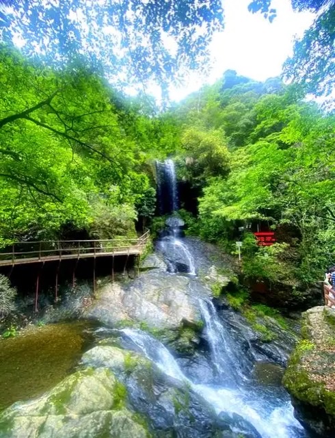 仙寓山康养记:栖居王村,品味自然滋养 仙寓山康养记:栖居王村,品味自然滋养