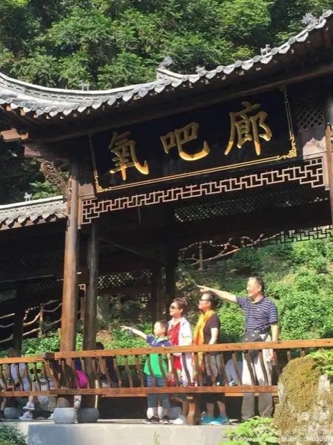 仙寓山康养记:栖居王村,品味自然滋养 仙寓山康养记:栖居王村,品味自然滋养