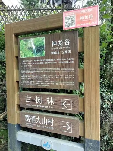 仙寓山康养记:栖居王村,品味自然滋养 仙寓山康养记:栖居王村,品味自然滋养