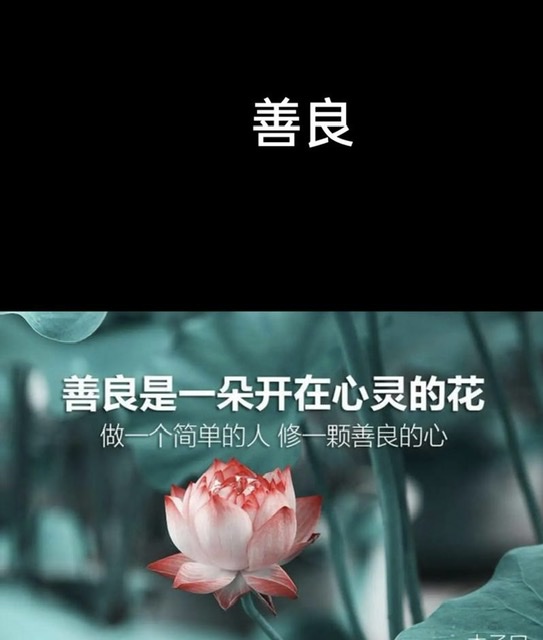 莫让好人“寒心”:守护社会良善需多方合力 莫让好人“寒心”:守护社会良善需多方合力