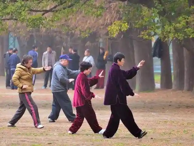退休不褪色:探寻规划多彩退休生活、保持身心活力之道 退休不褪色:探寻规划多彩退休生活、保持身心活力之道