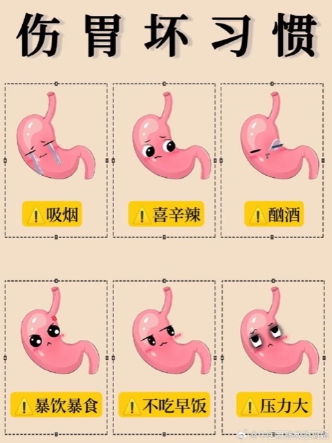 给胃“轻装上阵”:健康饮食让胃“告别”重负 给胃“轻装上阵”:健康饮食让胃“告别”重负