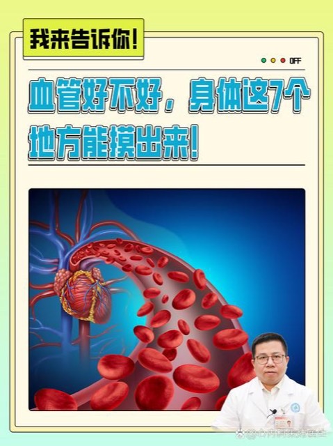 解密:血管健康为何等同寿命长度 解密:血管健康为何等同寿命长度