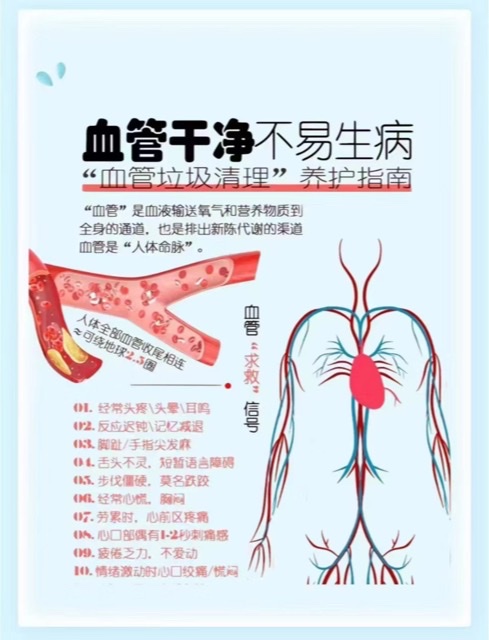 解密:血管健康为何等同寿命长度 解密:血管健康为何等同寿命长度