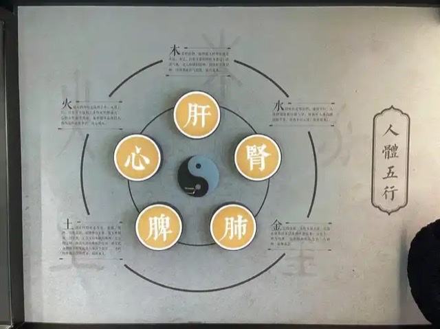 探寻中医“肾脾双修”理论的奥秘与智慧 探寻中医“肾脾双修”理论的奥秘与智慧
