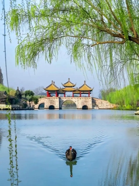 扬州印象:康养之美在早茶、游船与古街间流淌 扬州印象:康养之美在早茶、游船与古街间流淌