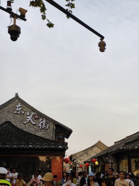 扬州印象:康养之美在早茶、游船与古街间流淌 扬州印象:康养之美在早茶、游船与古街间流淌