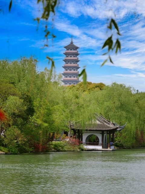 扬州印象:康养之美在早茶、游船与古街间流淌 扬州印象:康养之美在早茶、游船与古街间流淌