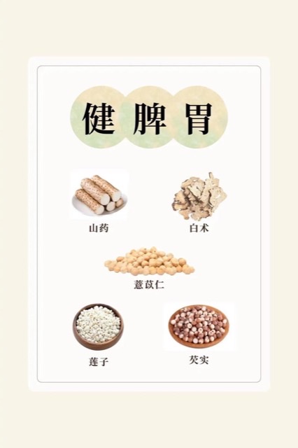 夏季养生必修课:跟着中医祛湿健脾 夏季养生必修课:跟着中医祛湿健脾