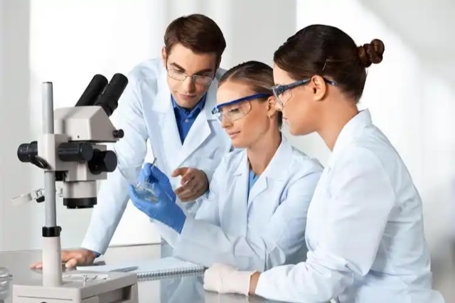 蜂王浆抗衰老新突破:亚洲抗衰老医学研究院带来前沿发现 蜂王浆抗衰老新突破:亚洲抗衰老医学研究院带来前沿发现
