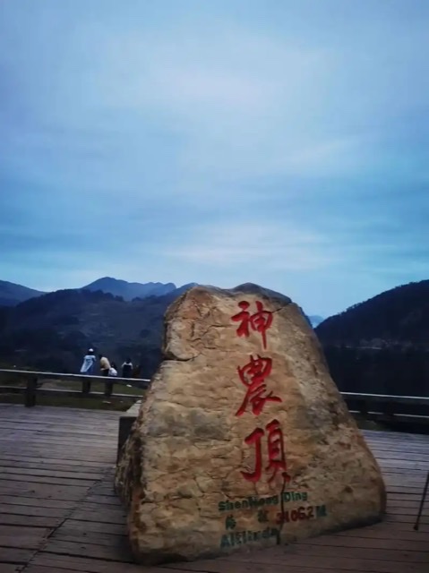 寻迹神农架:森林、峰巅、大九湖与挂壁蜂箱之约 寻迹神农架:森林、峰巅、大九湖与挂壁蜂箱之约