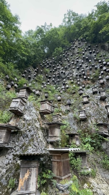 寻迹神农架:森林、峰巅、大九湖与挂壁蜂箱之约 寻迹神农架:森林、峰巅、大九湖与挂壁蜂箱之约