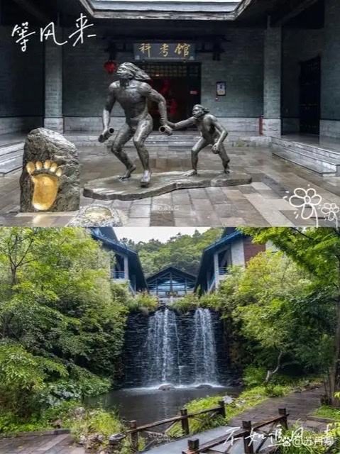 寻迹神农架:森林、峰巅、大九湖与挂壁蜂箱之约 寻迹神农架:森林、峰巅、大九湖与挂壁蜂箱之约