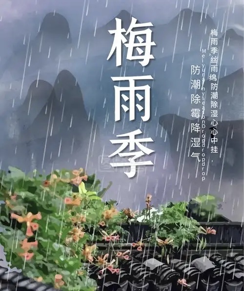 应对梅雨季暑湿:这五件养生大事缺一不可 应对梅雨季暑湿:这五件养生大事缺一不可