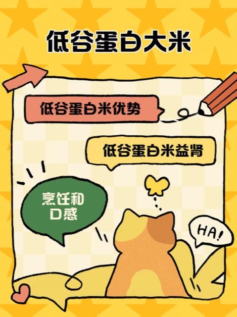低谷蛋白米:老年健康饮食的新焦点 低谷蛋白米:老年健康饮食的新焦点