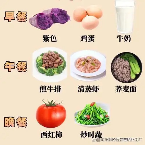 运动 + 营养:解锁老年健康密码的“黄金组合” 运动 + 营养:解锁老年健康密码的“黄金组合”