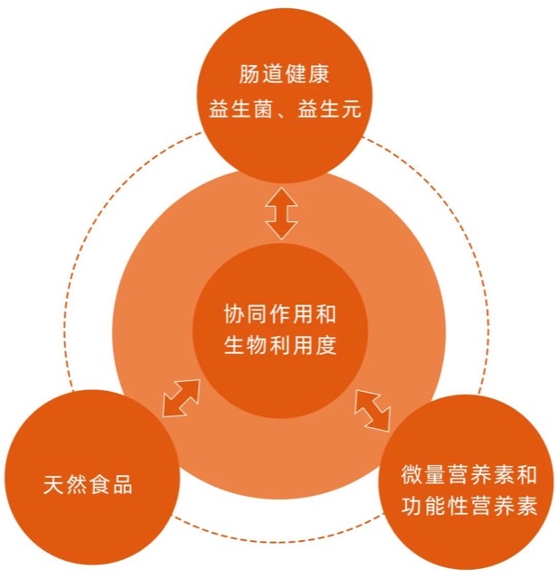 营养支持:为疾病治疗点亮主角之光 营养支持:为疾病治疗点亮主角之光