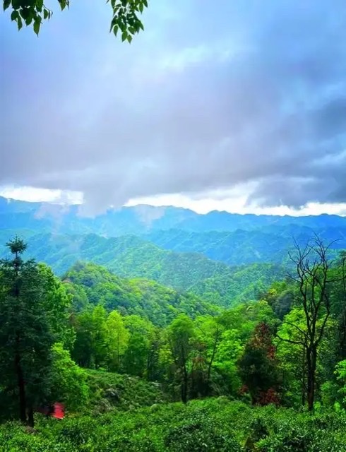 仙寓山:自然馈赠的康养胜地 仙寓山:自然馈赠的康养胜地