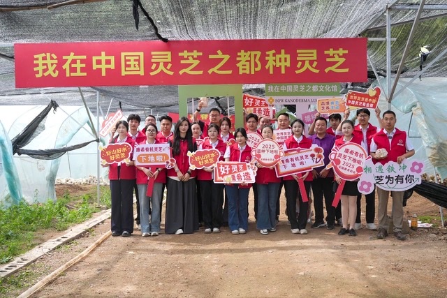 探寻“好灵芝 康希造”背后:安徽康希药业的全方位发展密码 探寻“好灵芝 康希造”背后:安徽康希药业的全方位发展密码