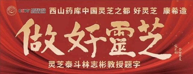 探寻“好灵芝 康希造”背后:安徽康希药业的全方位发展密码 探寻“好灵芝 康希造”背后:安徽康希药业的全方位发展密码