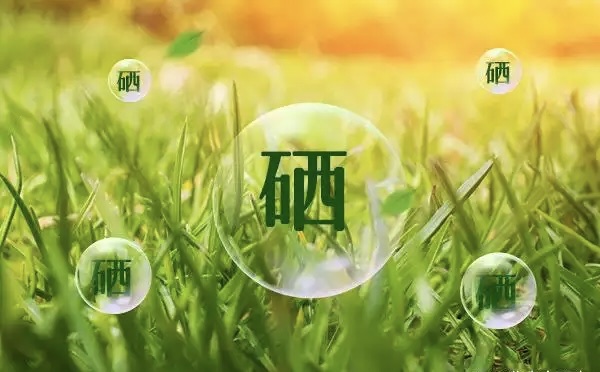男性健康的“幕后英雄”:不可或缺的硒元素 男性健康的“幕后英雄”:不可或缺的硒元素