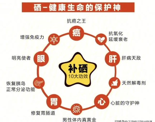 男性健康的“幕后英雄”:不可或缺的硒元素 男性健康的“幕后英雄”:不可或缺的硒元素