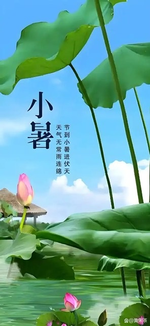 小暑时节话养生:养心阴、敛心气,冬病夏“调”正当时 小暑时节话养生:养心阴、敛心气,冬病夏“调”正当时