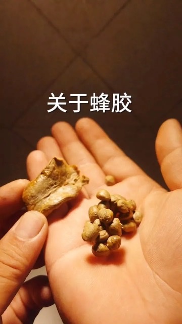 行业热点关注:蜂胶综合作用的“幕后推手”- 萜烯类化合物 行业热点关注:蜂胶综合作用的“幕后推手”- 萜烯类化合物
