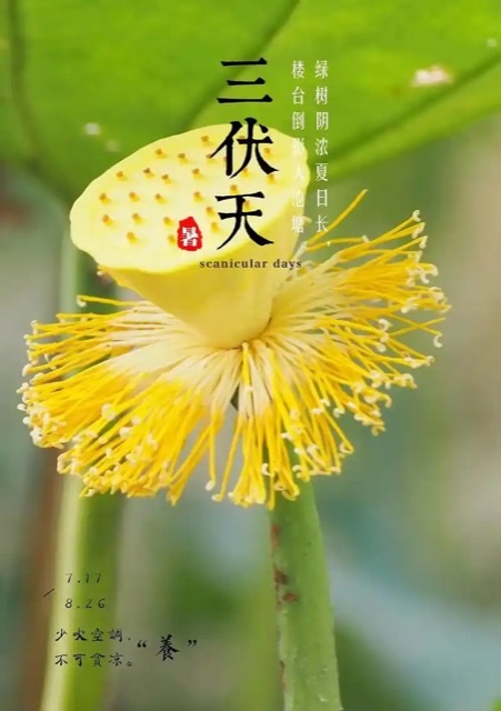头伏将至,老年人如何健康安稳过夏天? 头伏将至,老年人如何健康安稳过夏天?