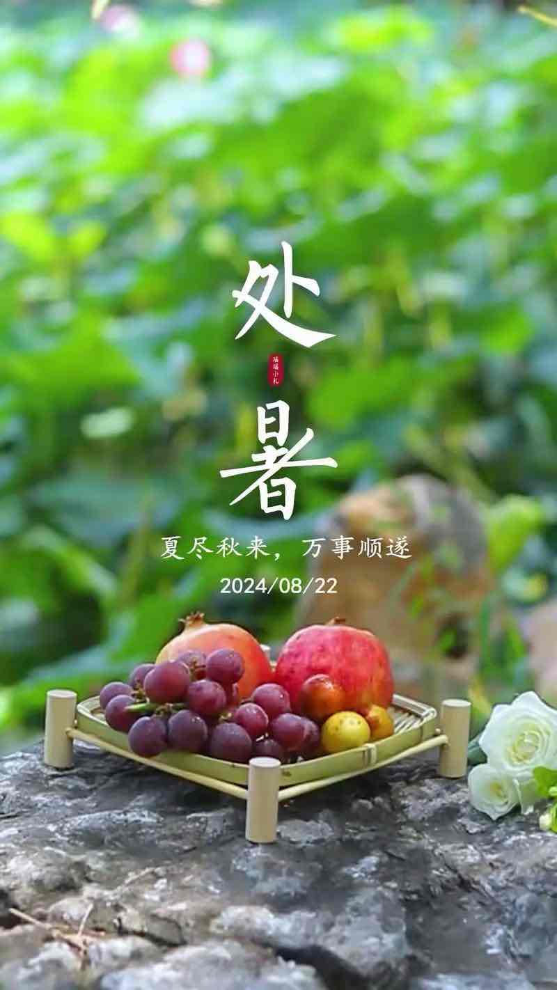 处暑到,养生重点在“收”:一份指南助你顺应时节,健康入秋 处暑到,养生重点在“收”:一份指南助你顺应时节,健康入秋