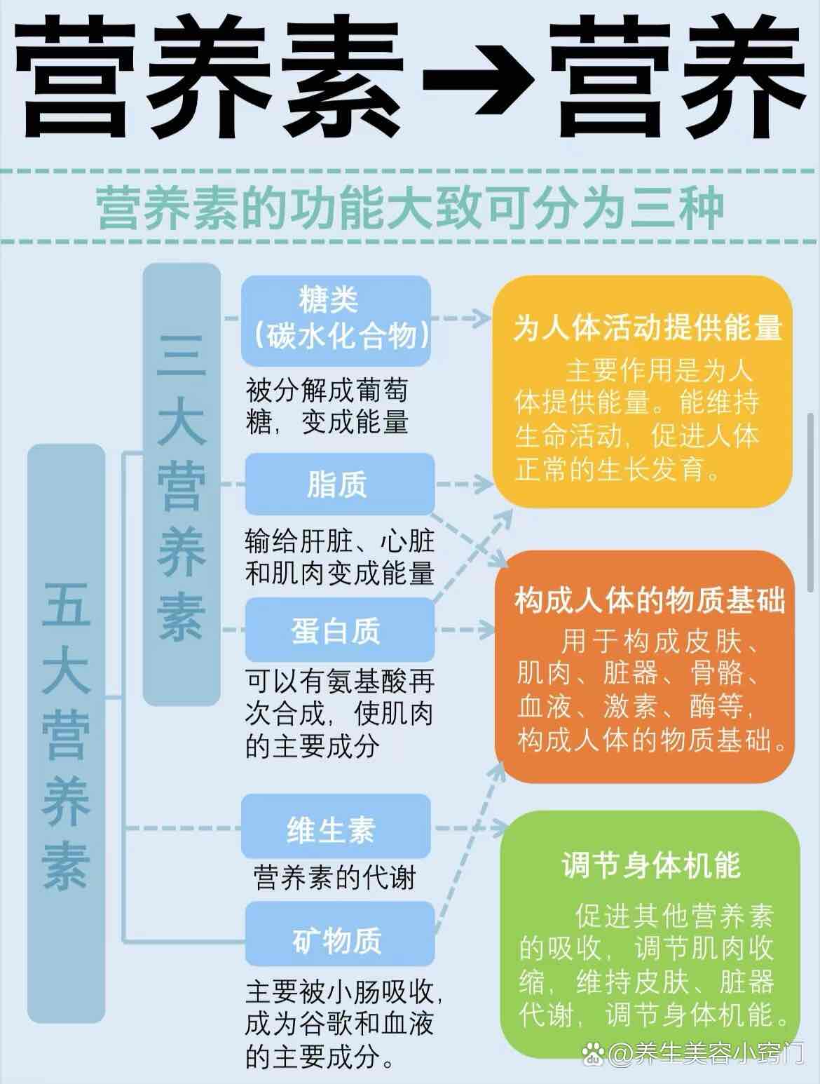 认识“营养”与“营养素”:读懂身体的“能量密码” 认识“营养”与“营养素”:读懂身体的“能量密码”