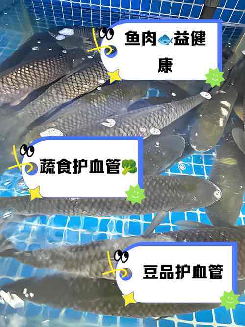 老年人想软化血管?别轻信“偏方”,这6类天然食物才是“好帮手 老年人想软化血管?别轻信“偏方”,这6类天然食物才是“好帮手
