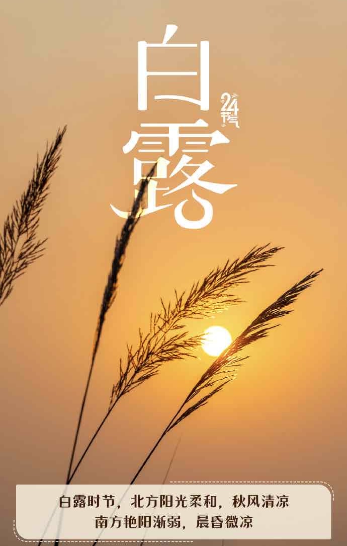 白露至,秋意浓:老年人养生正当时 白露至,秋意浓:老年人养生正当时