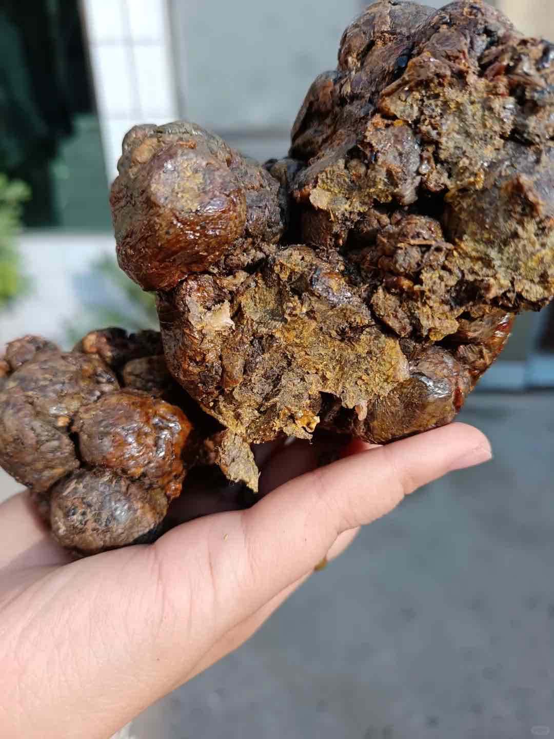 蜂胶综合作用强的秘密:藏在它的组成成分里 蜂胶综合作用强的秘密:藏在它的组成成分里