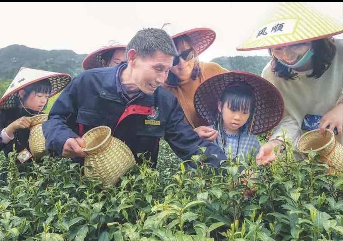 大湾村里话变迁:陈泽申老人的幸福新生活 大湾村里话变迁:陈泽申老人的幸福新生活