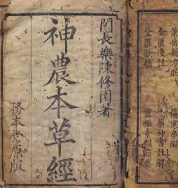 穿越三千年的“甜蜜药方”:历代医典里的蜂蜜传奇 穿越三千年的“甜蜜药方”:历代医典里的蜂蜜传奇