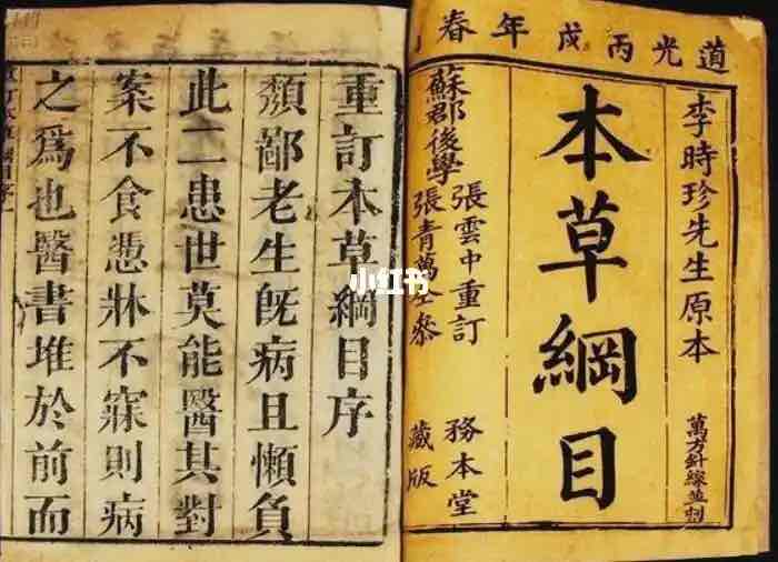 穿越三千年的“甜蜜药方”:历代医典里的蜂蜜传奇 穿越三千年的“甜蜜药方”:历代医典里的蜂蜜传奇