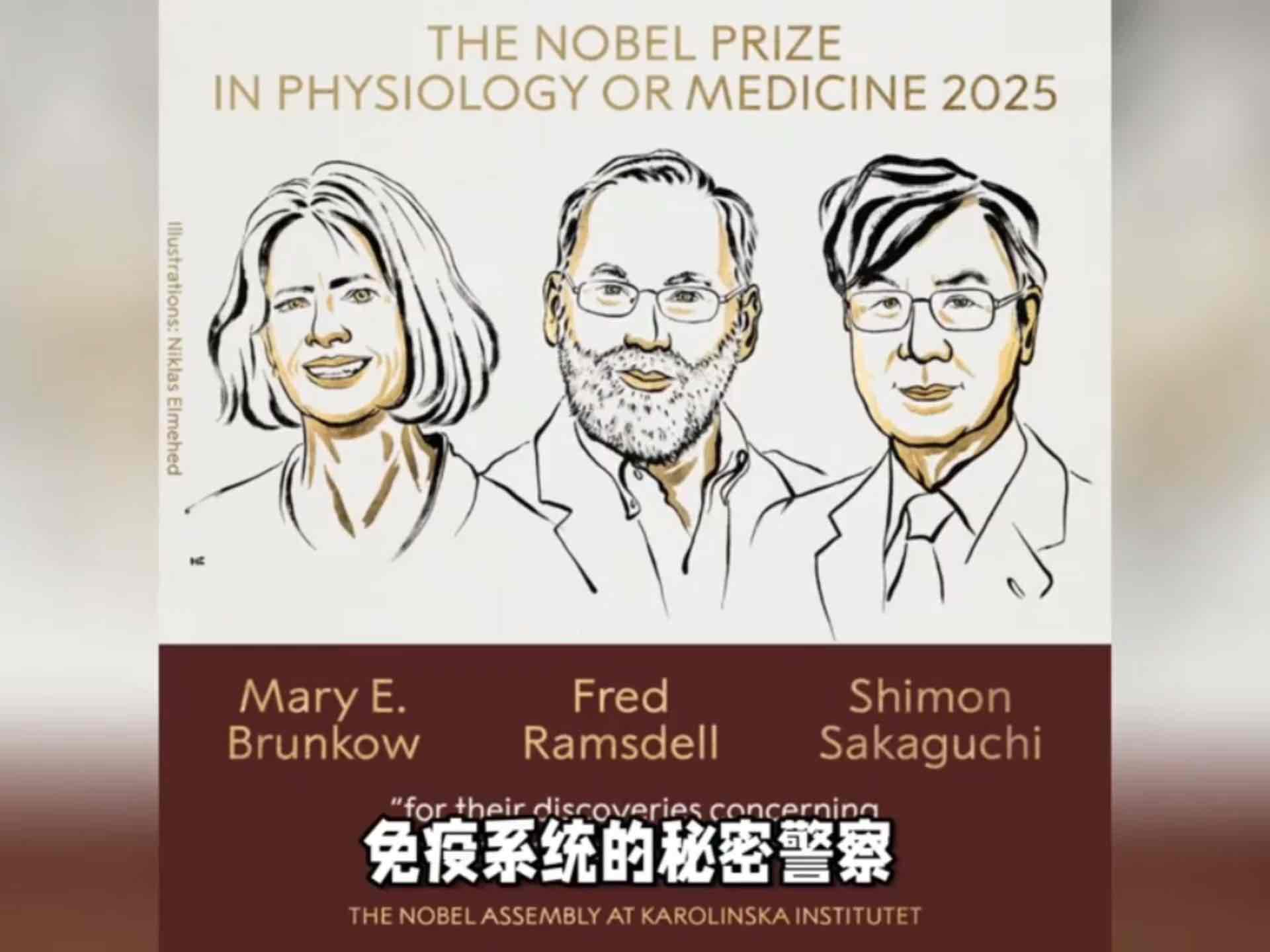 诺奖聚焦免疫“刹车”机制!三位科学家破解平衡密码,为老年高发疾病带来新希望 诺奖聚焦免疫“刹车”机制!三位科学家破解平衡密码,为老年高发疾病带来新希望