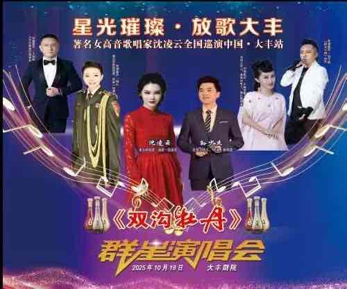 “大丰好人”王书生办群星演唱会,以文化盛宴回馈乡梓情深 “大丰好人”王书生办群星演唱会,以文化盛宴回馈乡梓情深