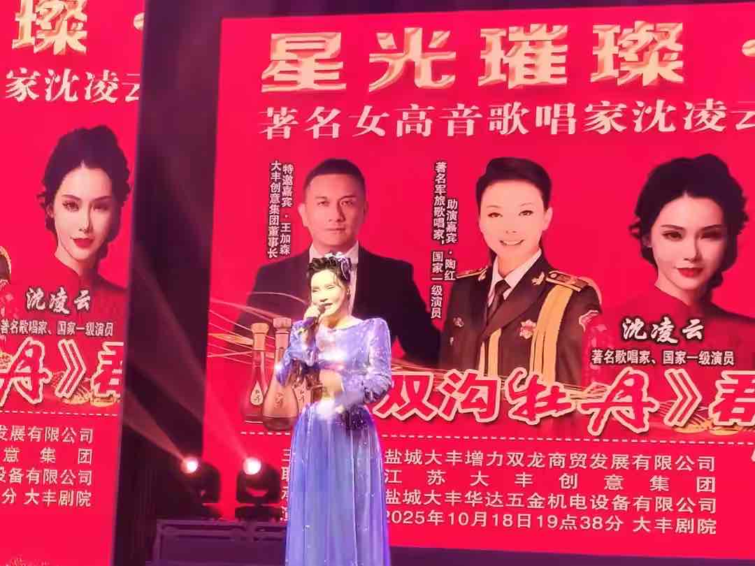 “大丰好人”王书生办群星演唱会,以文化盛宴回馈乡梓情深 “大丰好人”王书生办群星演唱会,以文化盛宴回馈乡梓情深