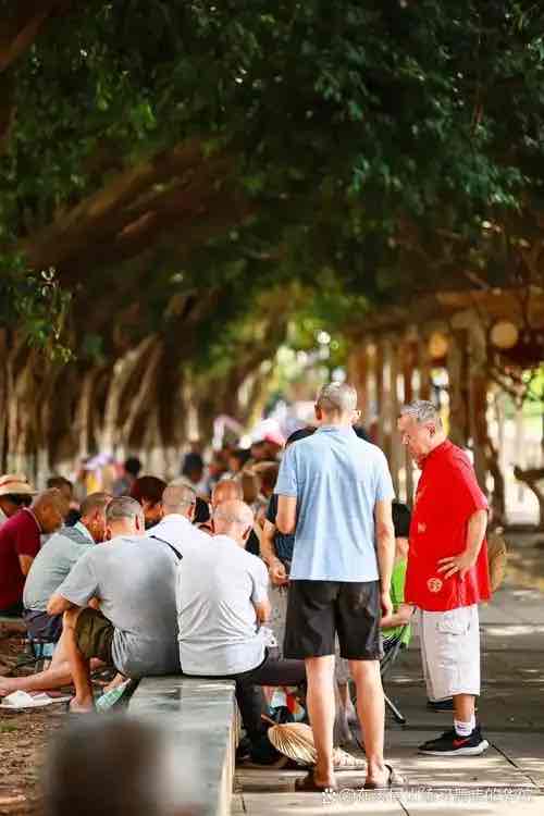 理想的老年生活:把日子过成慢镜头 理想的老年生活:把日子过成慢镜头
