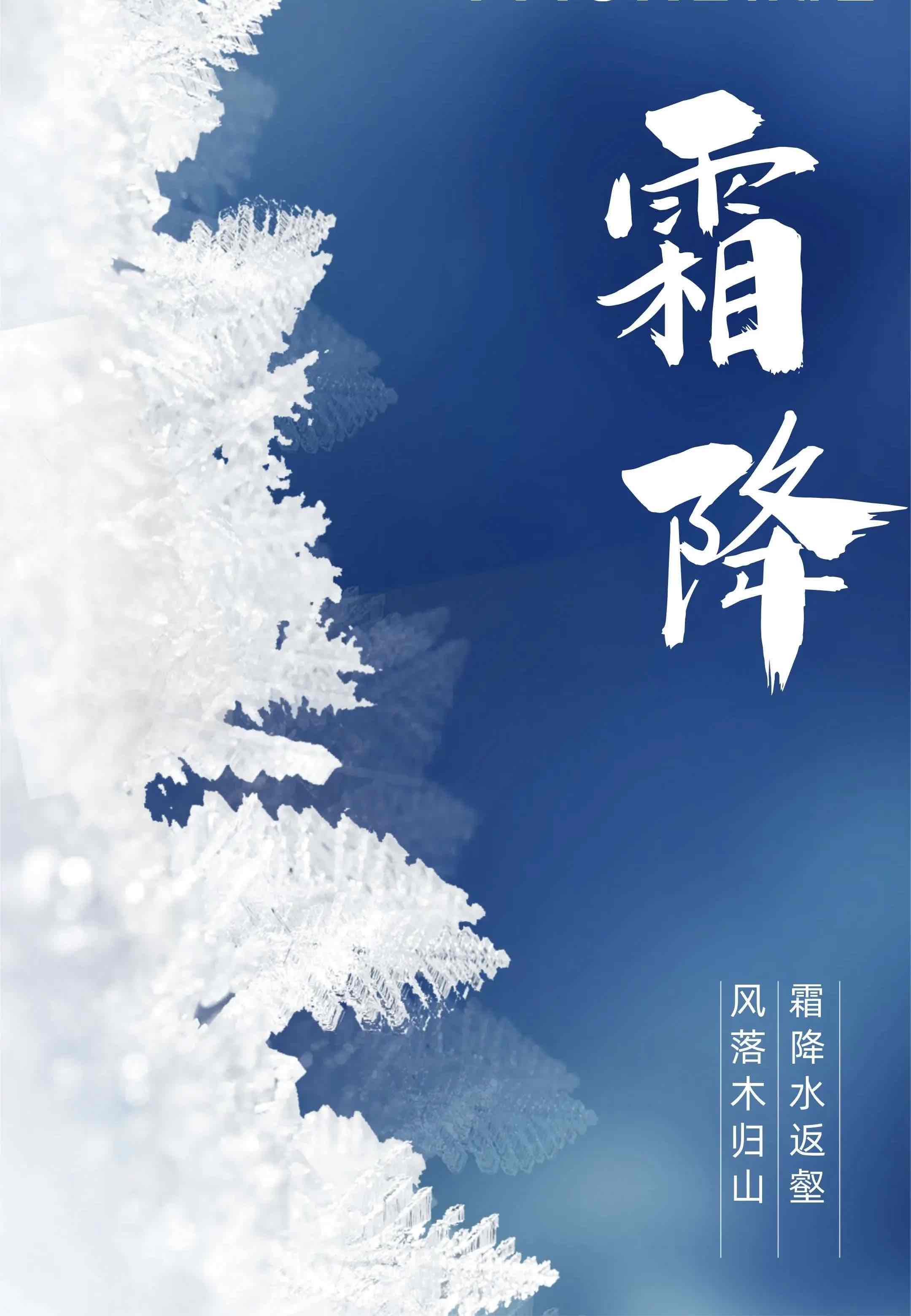 霜降赶重阳,四怪现秋光:农谚里的冬意密码 霜降赶重阳,四怪现秋光:农谚里的冬意密码