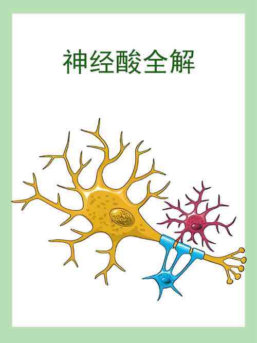 神经酸:守护银发族记忆的'脑健康卫士' 神经酸:守护银发族记忆的'脑健康卫士'