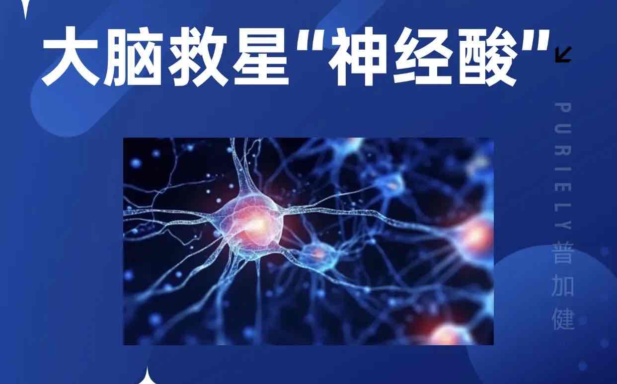 神经酸:守护银发族记忆的'脑健康卫士' 神经酸:守护银发族记忆的'脑健康卫士'